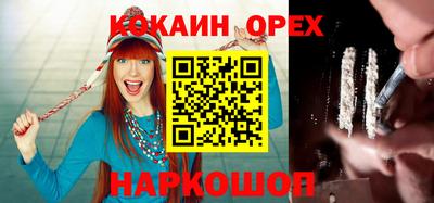 гидра Новозыбков