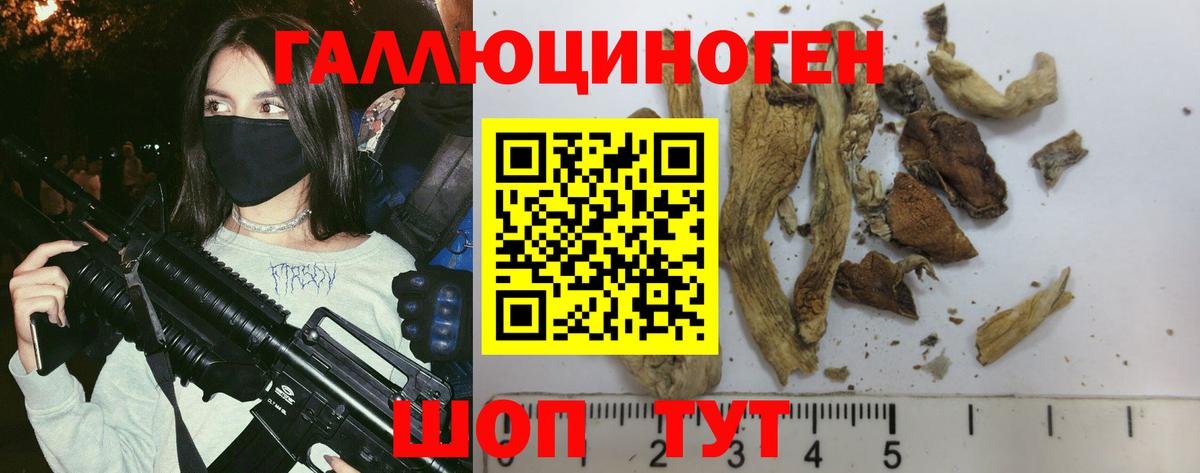 Псилоцибиновые грибы мухоморы  Вход с VPN  Ставрополь  Псилоцибиновые грибы Cubensis 